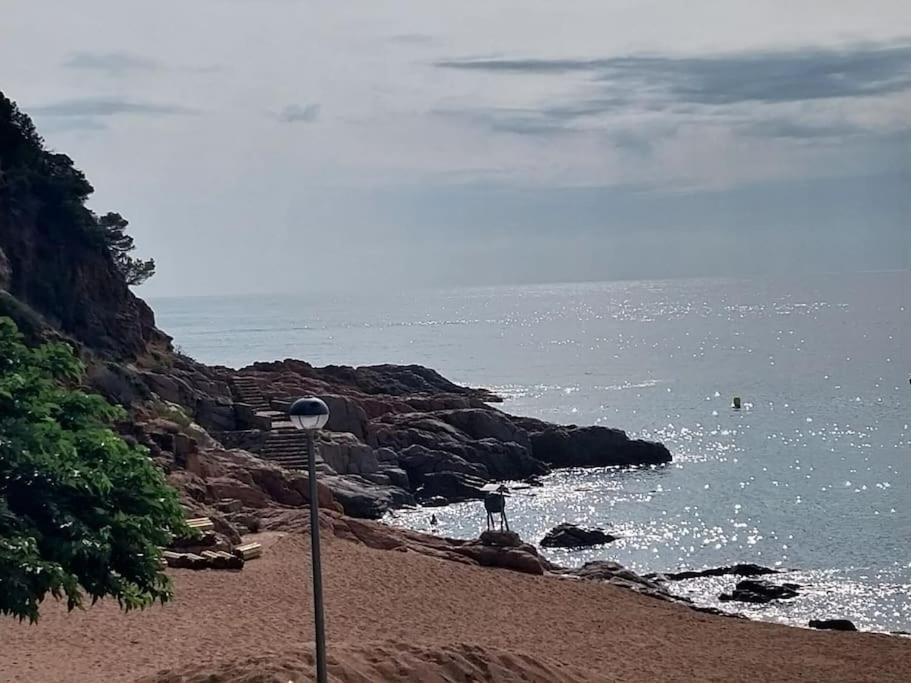 Cala Salions Balandro II Tossa De Mar Apartment Canet De Mar Exterior photo