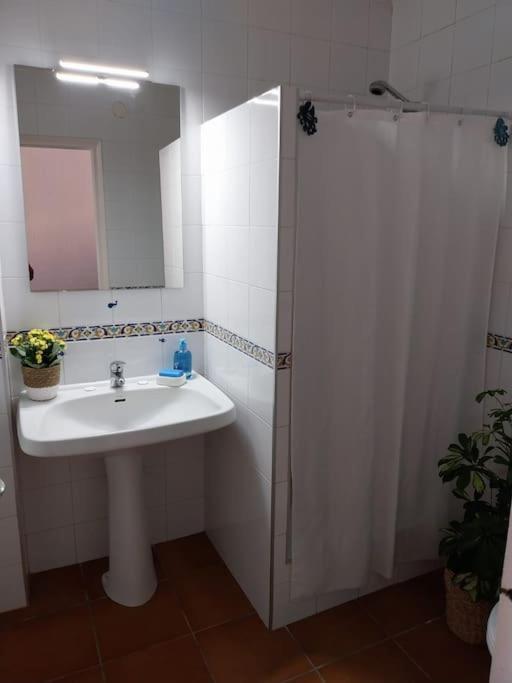 Cala Salions Balandro II Tossa De Mar Apartment Canet De Mar Exterior photo